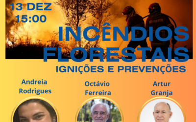 Incêndios Florestais: Urgência da Prevenção Local